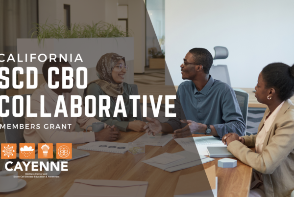 CBO Collaborative grants
