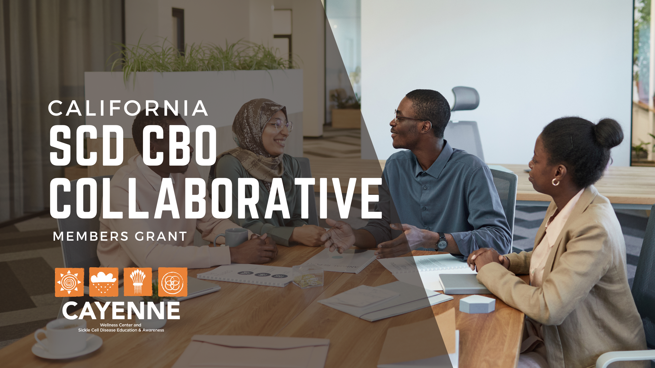 CBO Collaborative grants